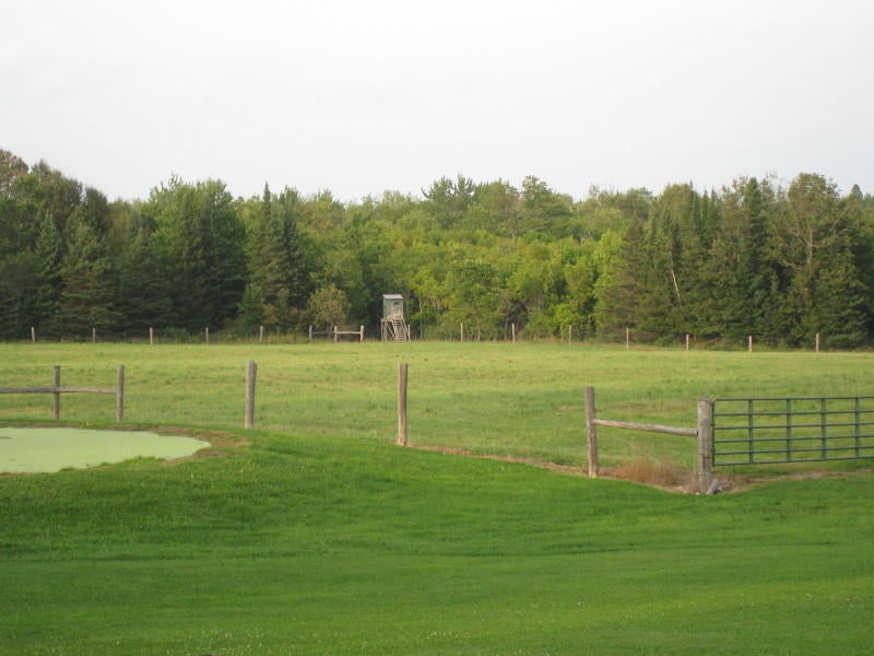 301 East 18 Mile Road Dafter, MI 49724 - Photo 61 of 74 Gallery Image 61