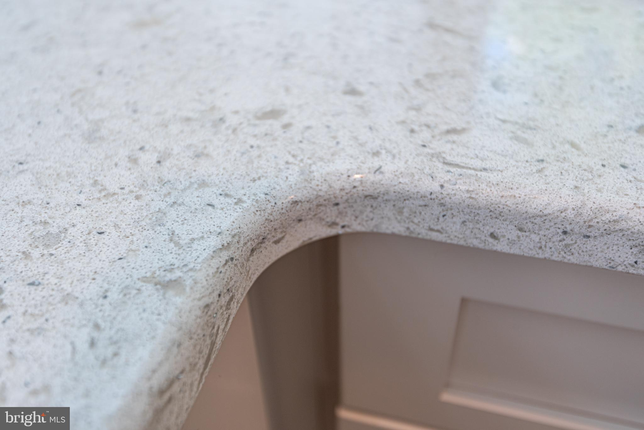 12121 Salt Road Bishopville, MD 21813 - Photo 18 of 117 Solid Surface