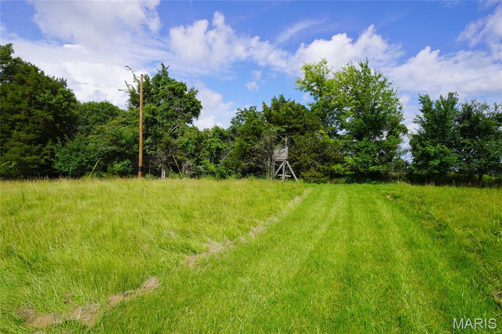 1971 Epple Road Hermann, MO 65041 - Photo 42 of 98