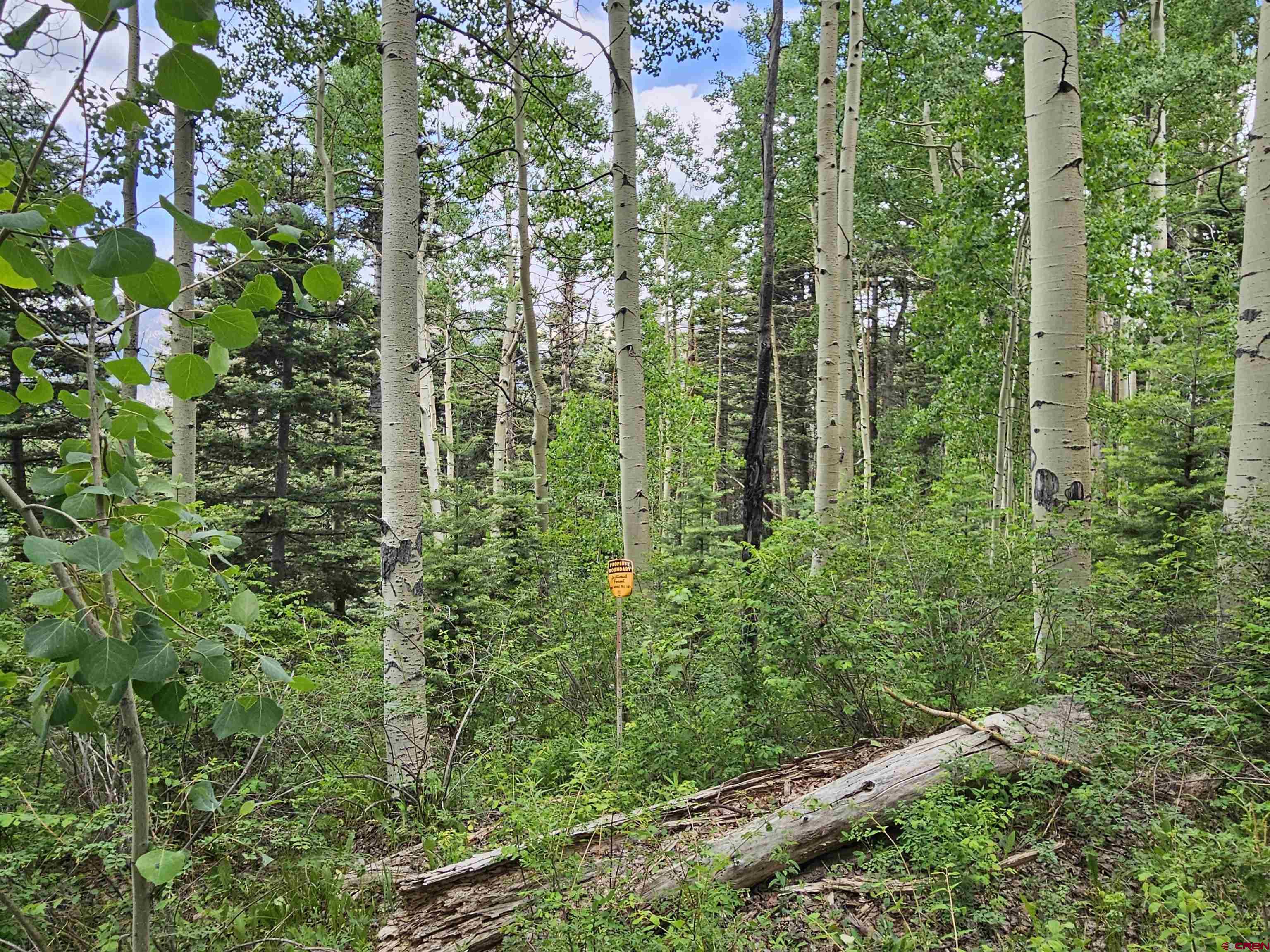 4556 Middle Mountain Road Bayfield, CO 81122 - Photo 2 of 11