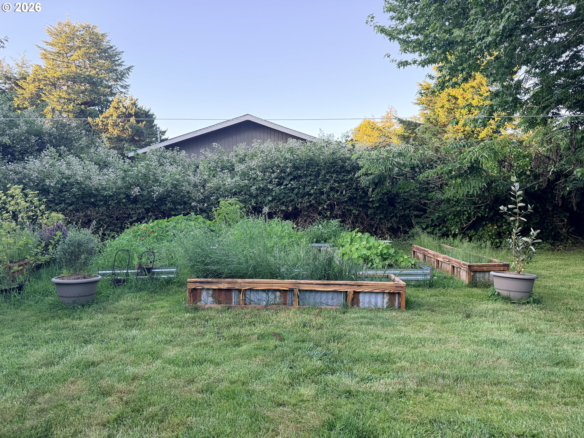 677 Southeast Moffitt Road Waldport, OR 97394 - Photo 4 of 36 a backyard of a house with lots of green space
