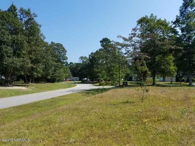 121 Deepwoods Ridge Rocky Point, NC 28457 - Photo 2 of 12 20170921_114956