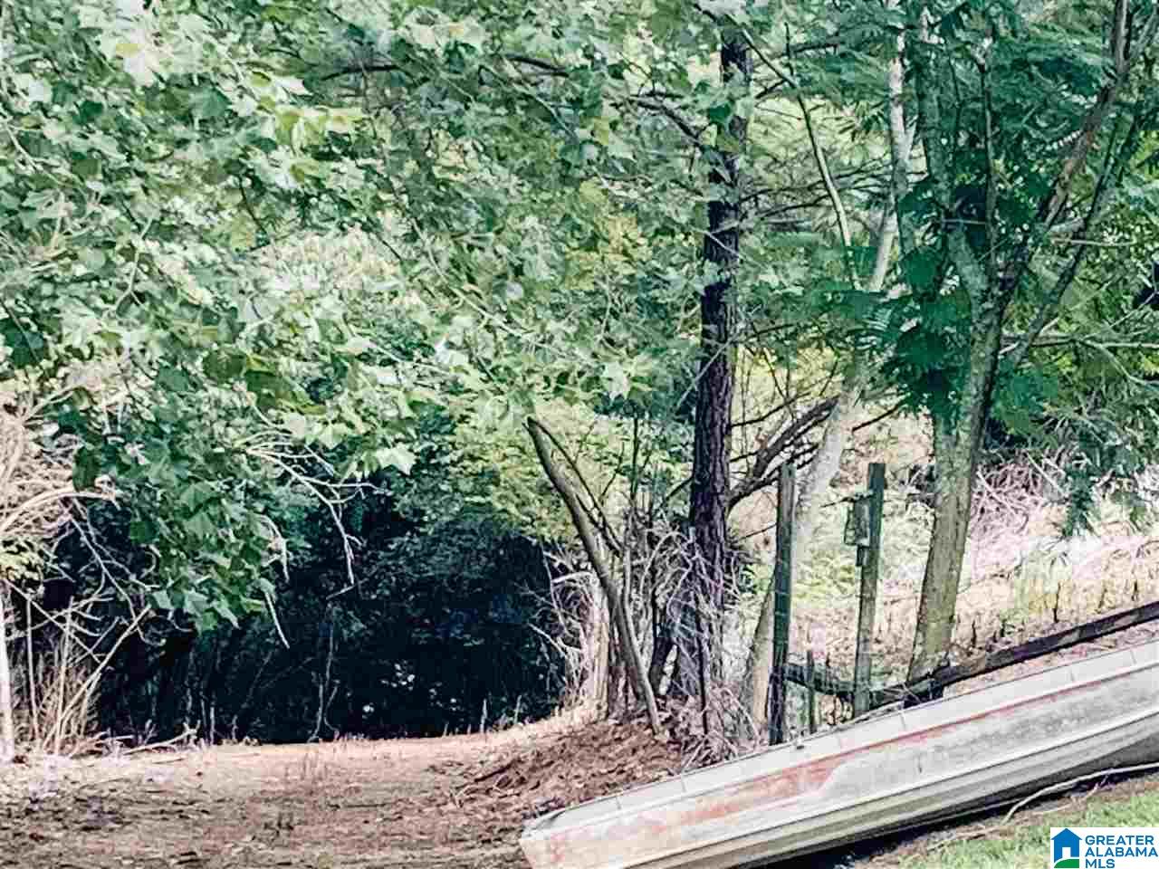 4000 County Road 20 Oneonta, AL 35121 - Photo 7 of 48