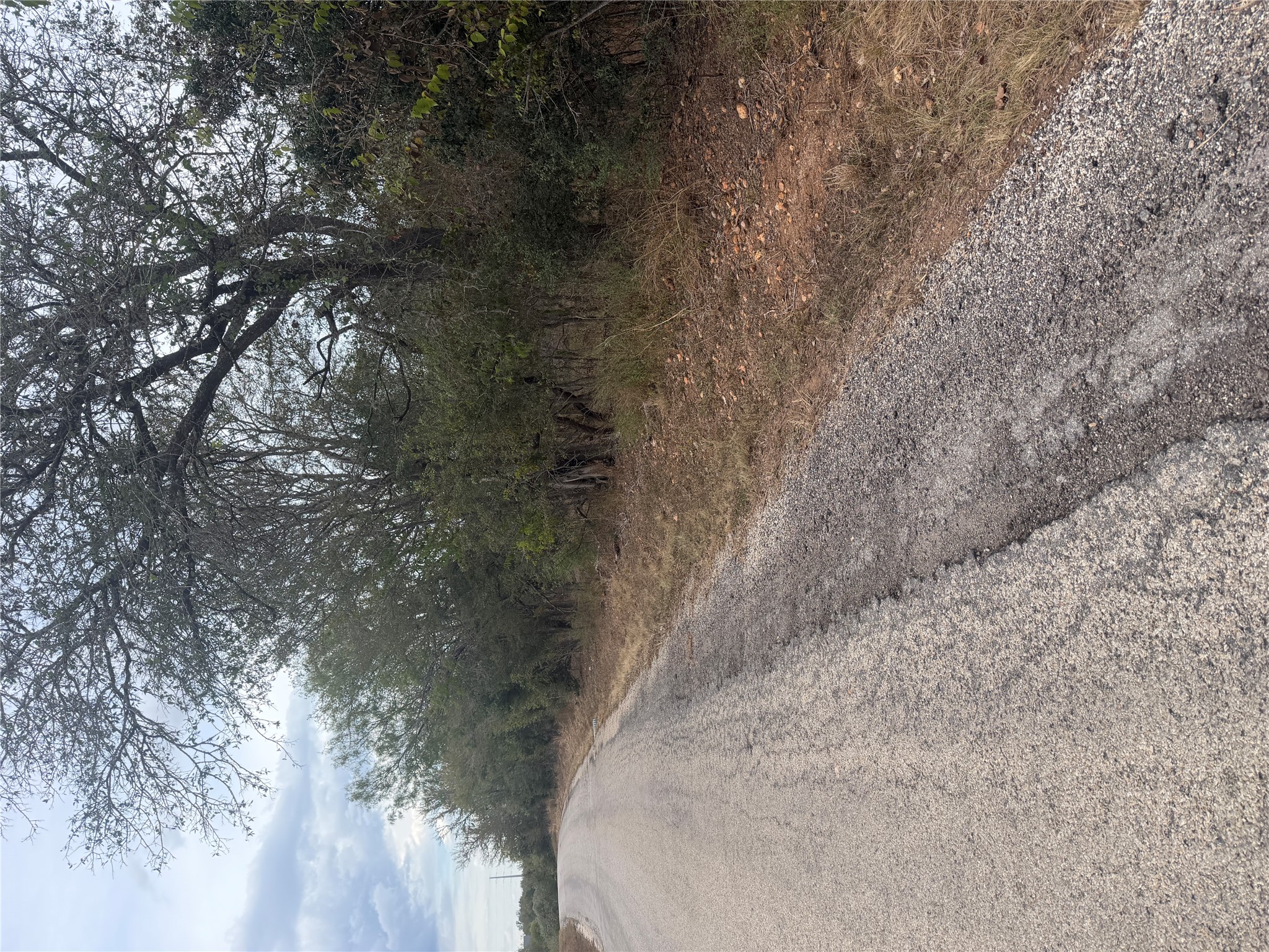 298 Riverside Drive Bastrop, TX 78602 - Photo 2 of 7 Mature trees line the quiet paved road bordering this natural property.