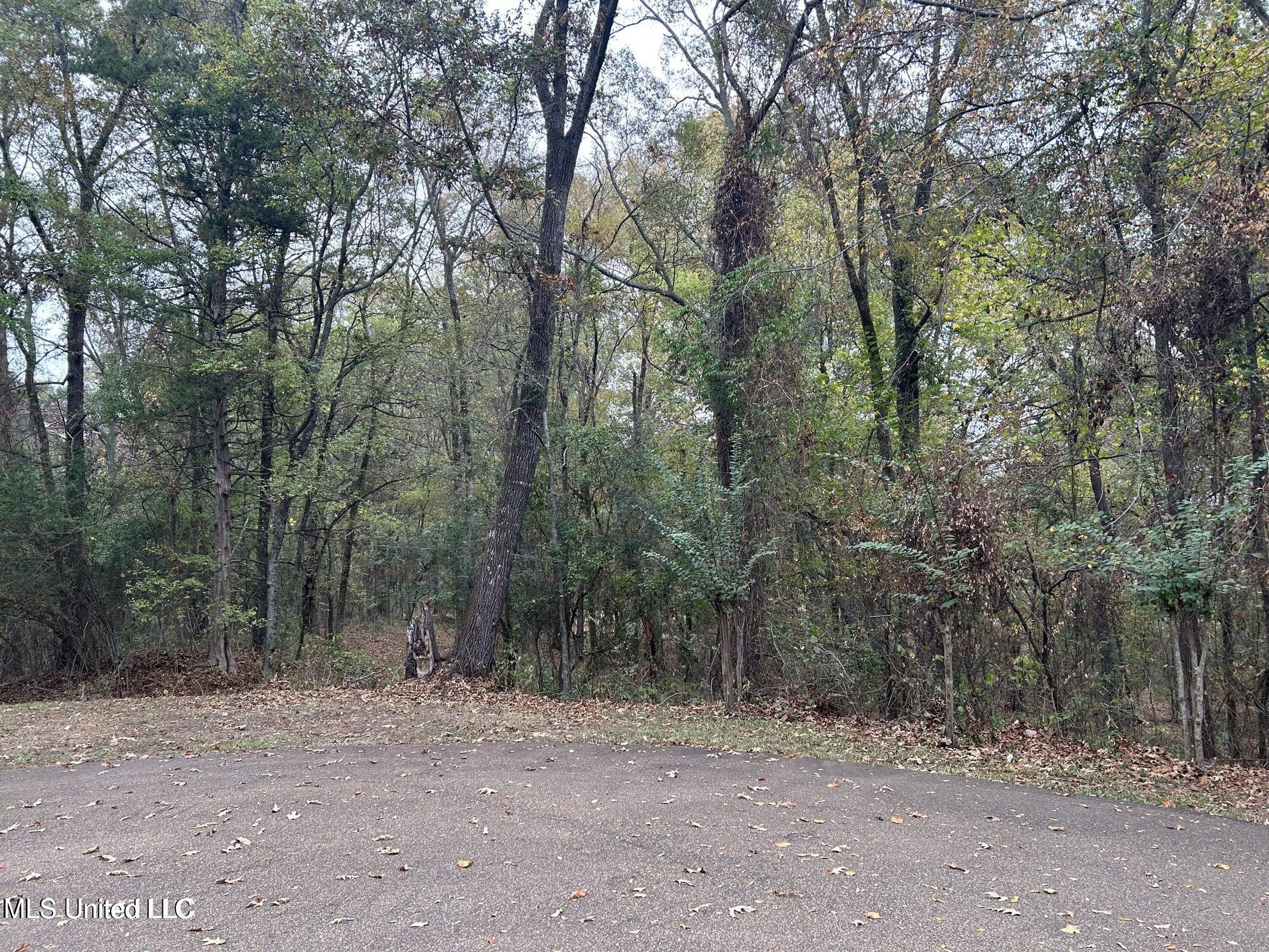 20231115201458572043000000-o