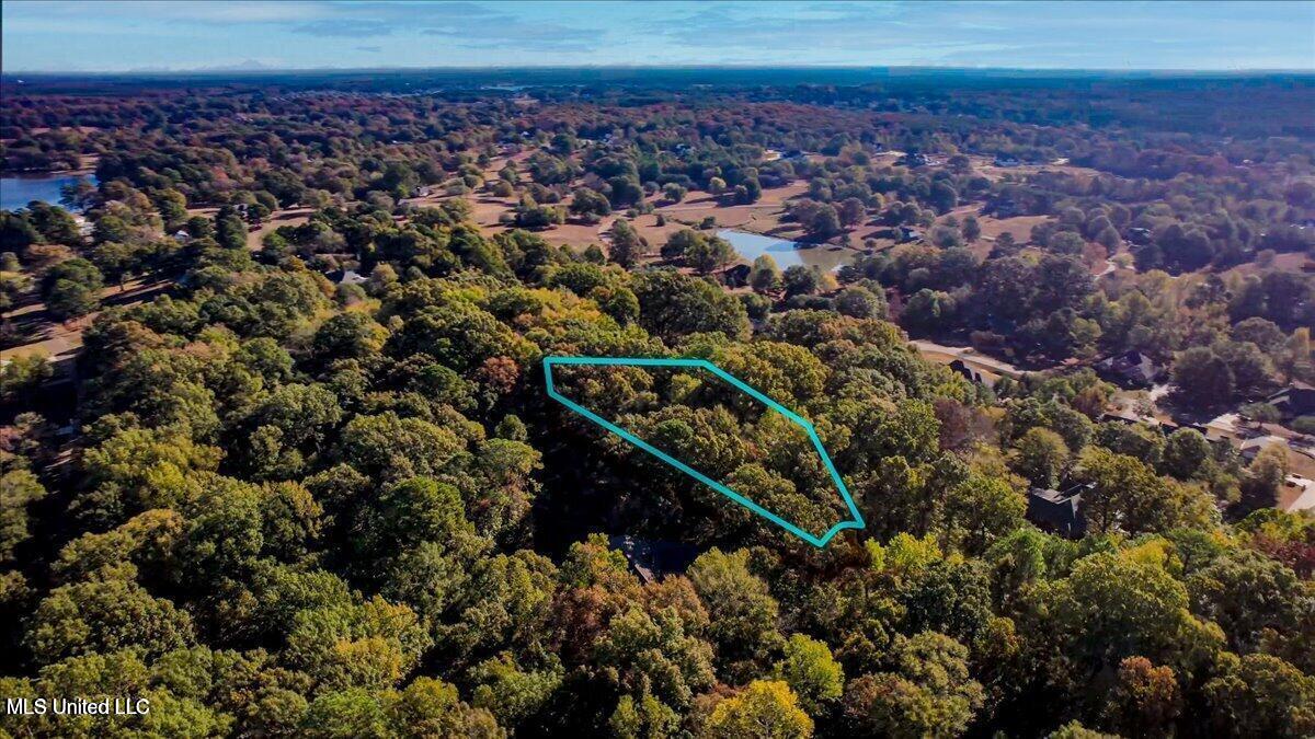 Westminster Court Madison, MS 39110 - Photo 4 of 7 20231106171710660426000000-o