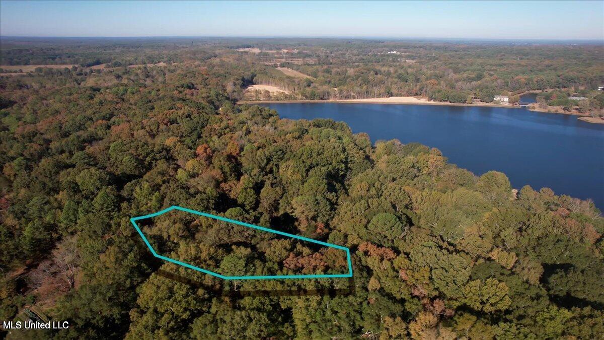 Westminster Court Madison, MS 39110 - Photo 5 of 7 20231106171708902721000000-o