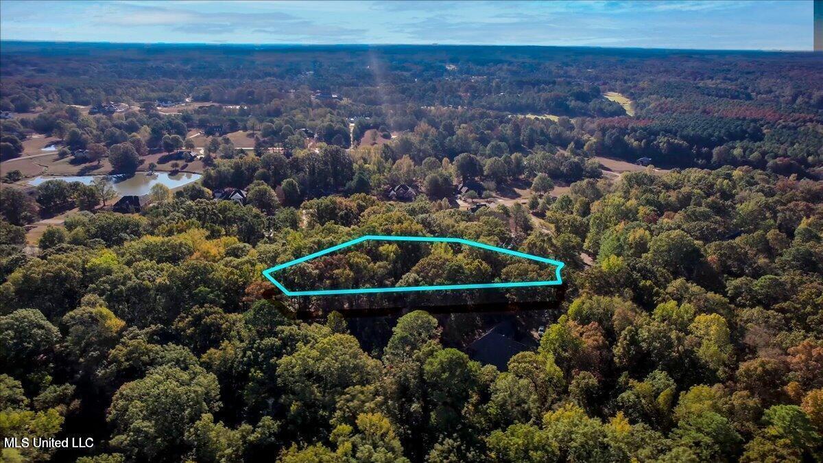 Westminster Court Madison, MS 39110 - Photo 6 of 7 20231106171713058323000000-o