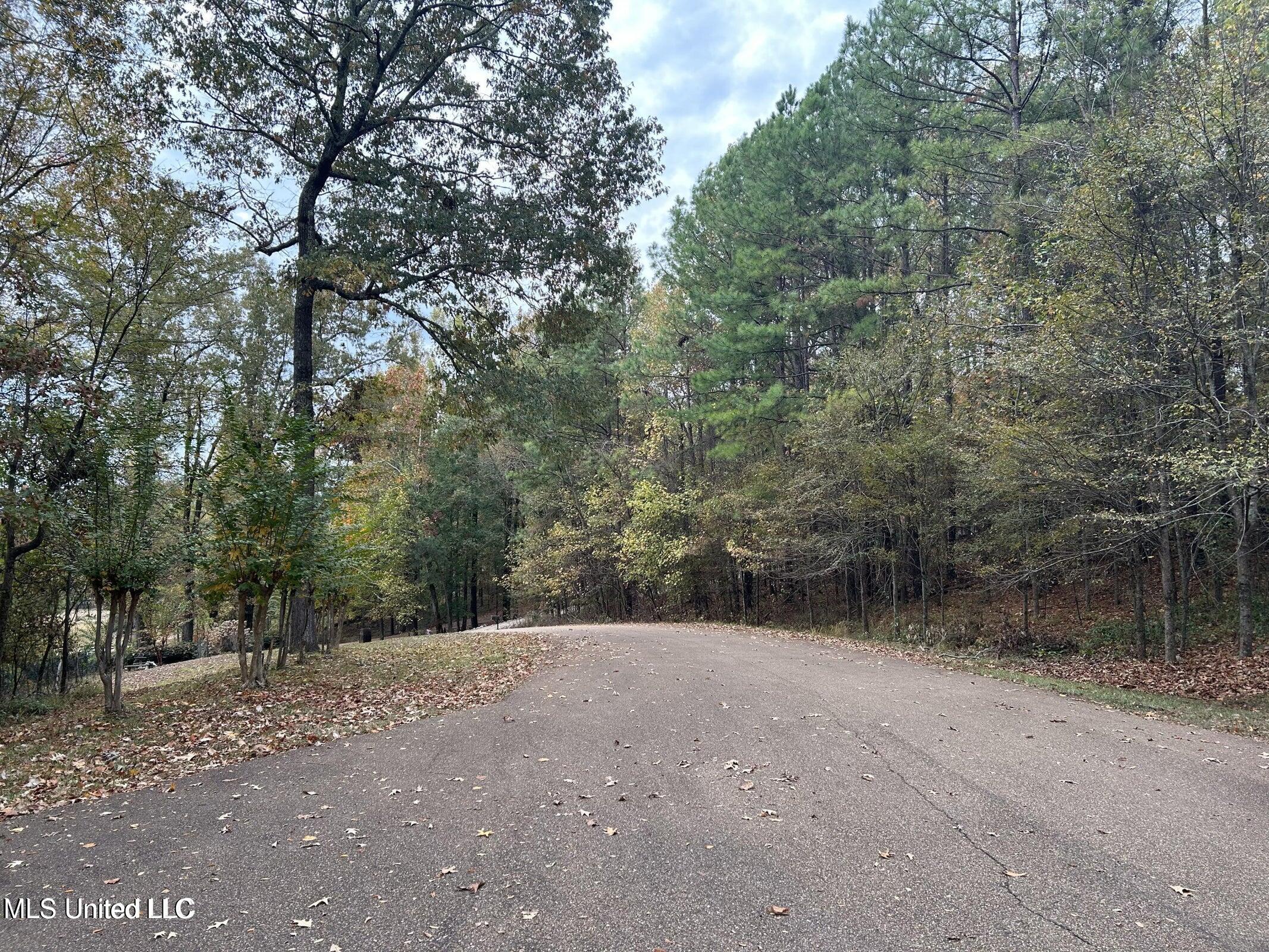 Westminster Court Madison, MS 39110 - Photo 7 of 7 20231115201515199211000000-o