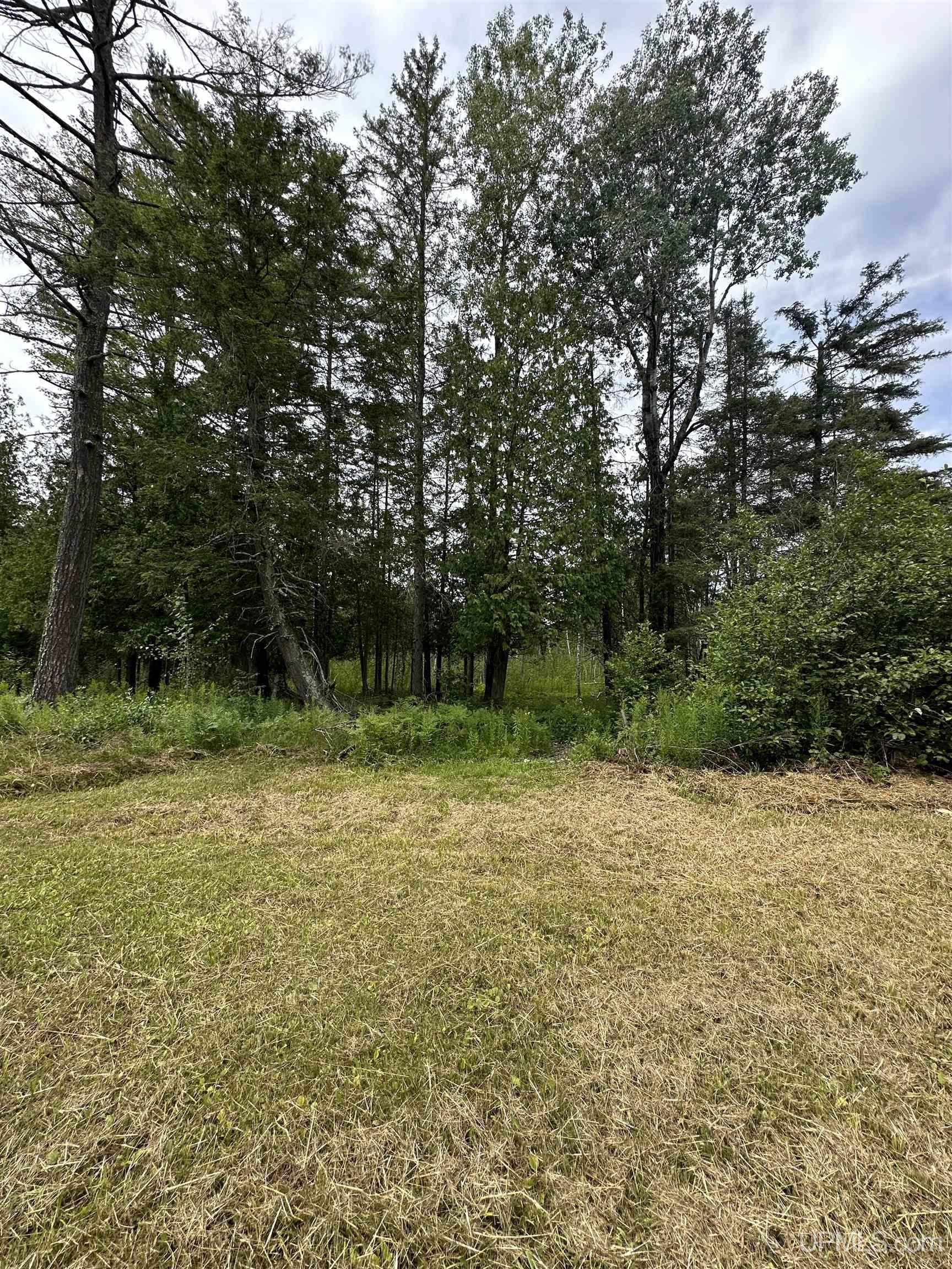 3942 Co 426 Road Cornell, MI 49818 - Photo 30 of 42