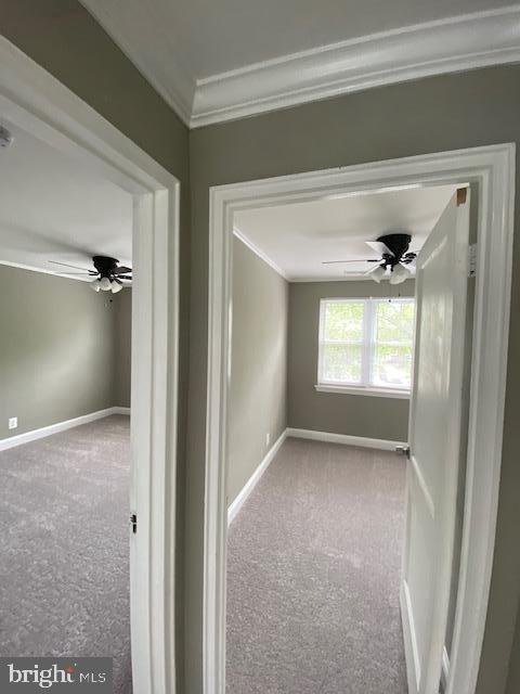 835 Benninghaus Road Baltimore, MD 21212 - Photo 22 of 36