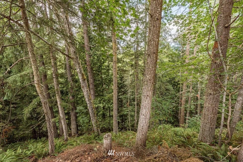 4592 Deer Park Road Port Angeles, WA 98362 - Photo 22 of 24 Gallery Image 22