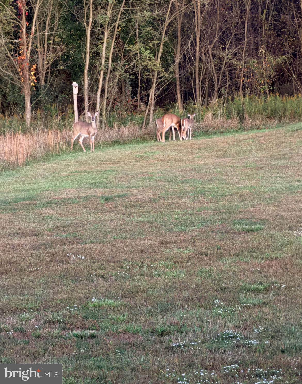 984 Pine Road Carlisle, PA 17015 - Photo 54 of 70 a view of a outdoor space