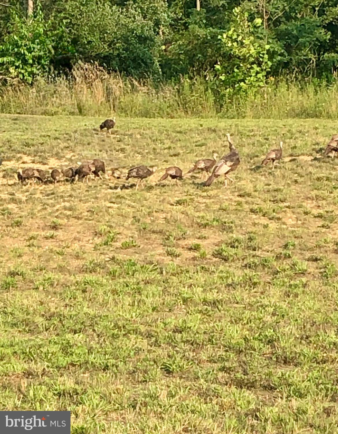 984 Pine Road Carlisle, PA 17015 - Photo 57 of 70