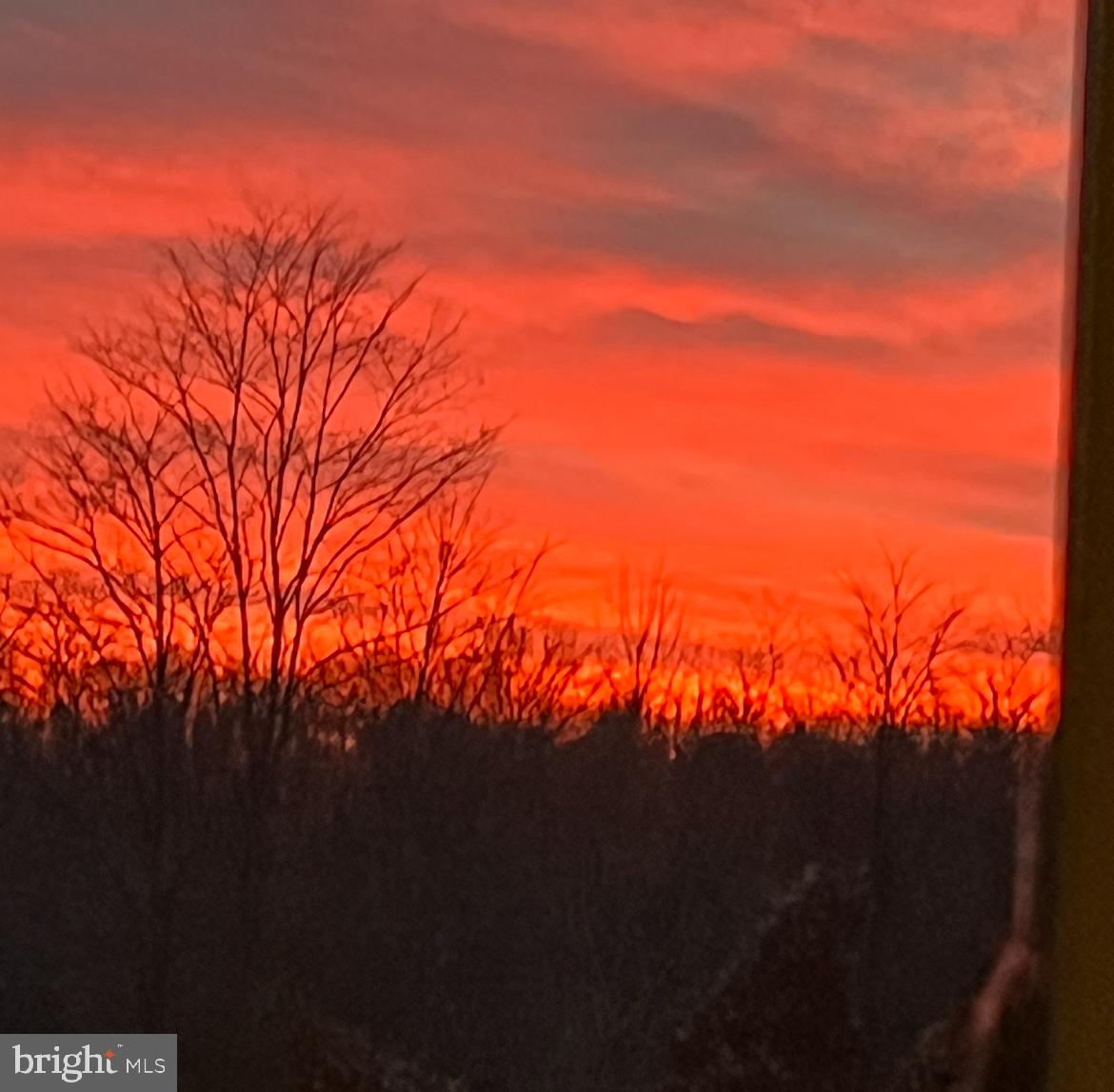 984 Pine Road Carlisle, PA 17015 - Photo 61 of 70