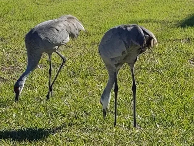 a view of outside space and ocean view