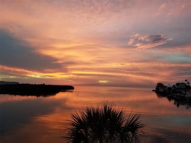 a view of a lake with a palm tree