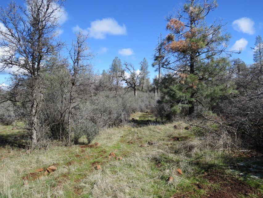 Lack Creek Road Shingletown, CA 96088 - Photo 1 of 6 Nicely Treed