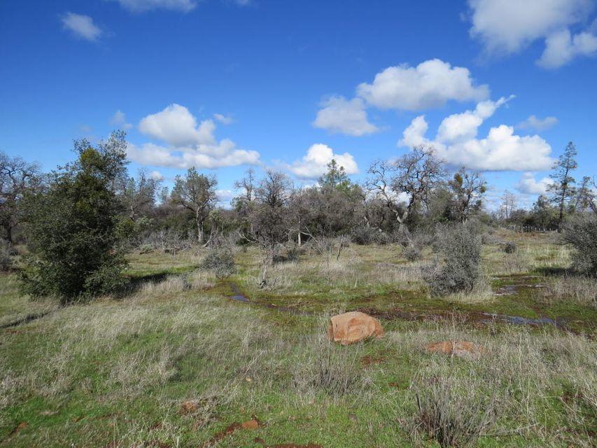 Lack Creek Road Shingletown, CA 96088 - Photo 5 of 6 Gentle slope