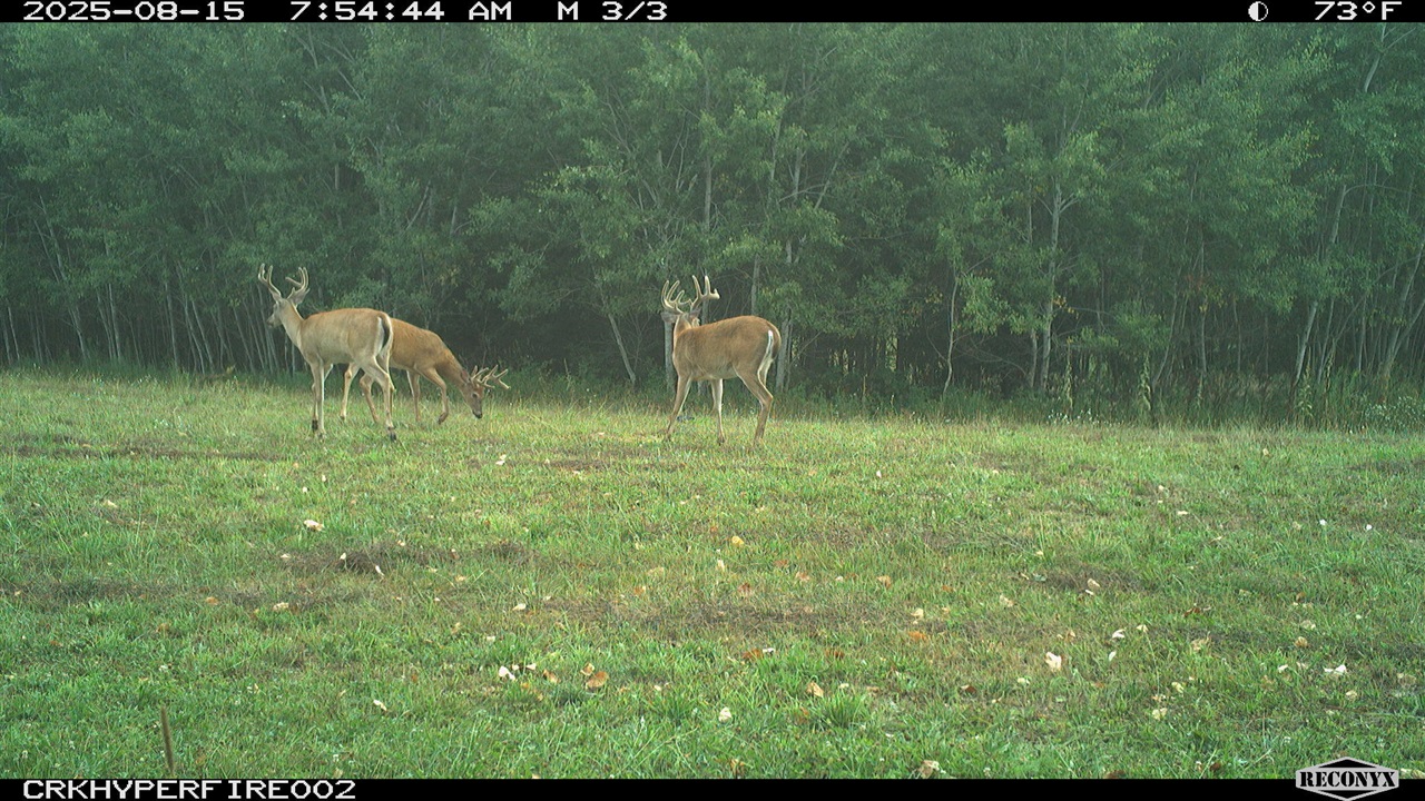 11048 Wilson Road Lake City, MI 49651 - Photo 3 of 89 Gallery Image 3