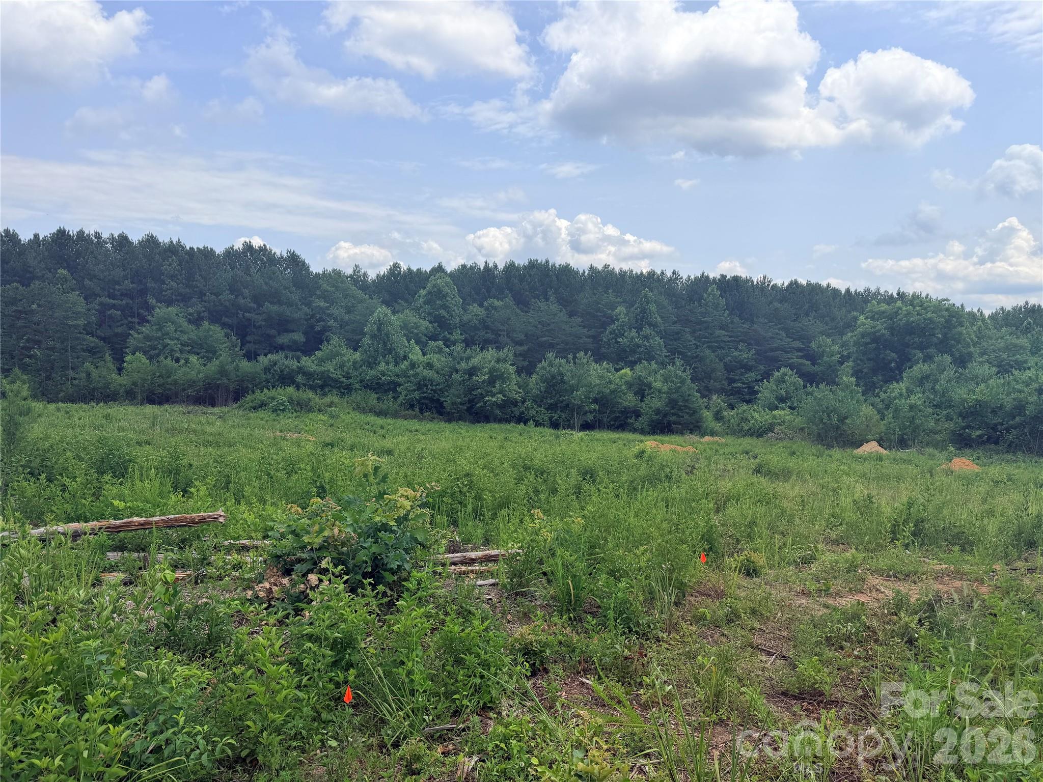 0 Doggett Grove Road, Unit 1 Forest City, NC 28043 - Photo 3 of 4