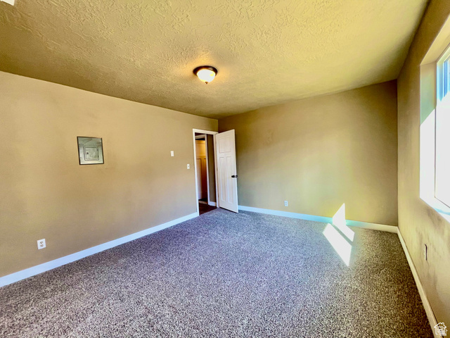 255 West Main Street Mount Pleasant, UT 84647 - Photo 25 of 35 Spacious room featuring textured walls, neutral carpet flooring, a single window, white trim, and a ceiling-mounted light fixture