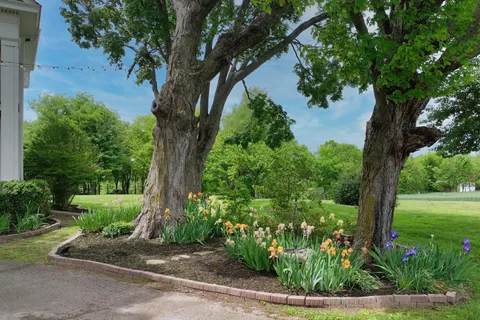 a view of a lake with a yard