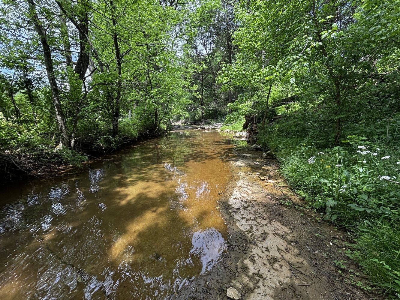 6538 Highway 431 Springfield, TN 37172 - Photo 39 of 63 a backyard of a house with a yard and outdoor seating