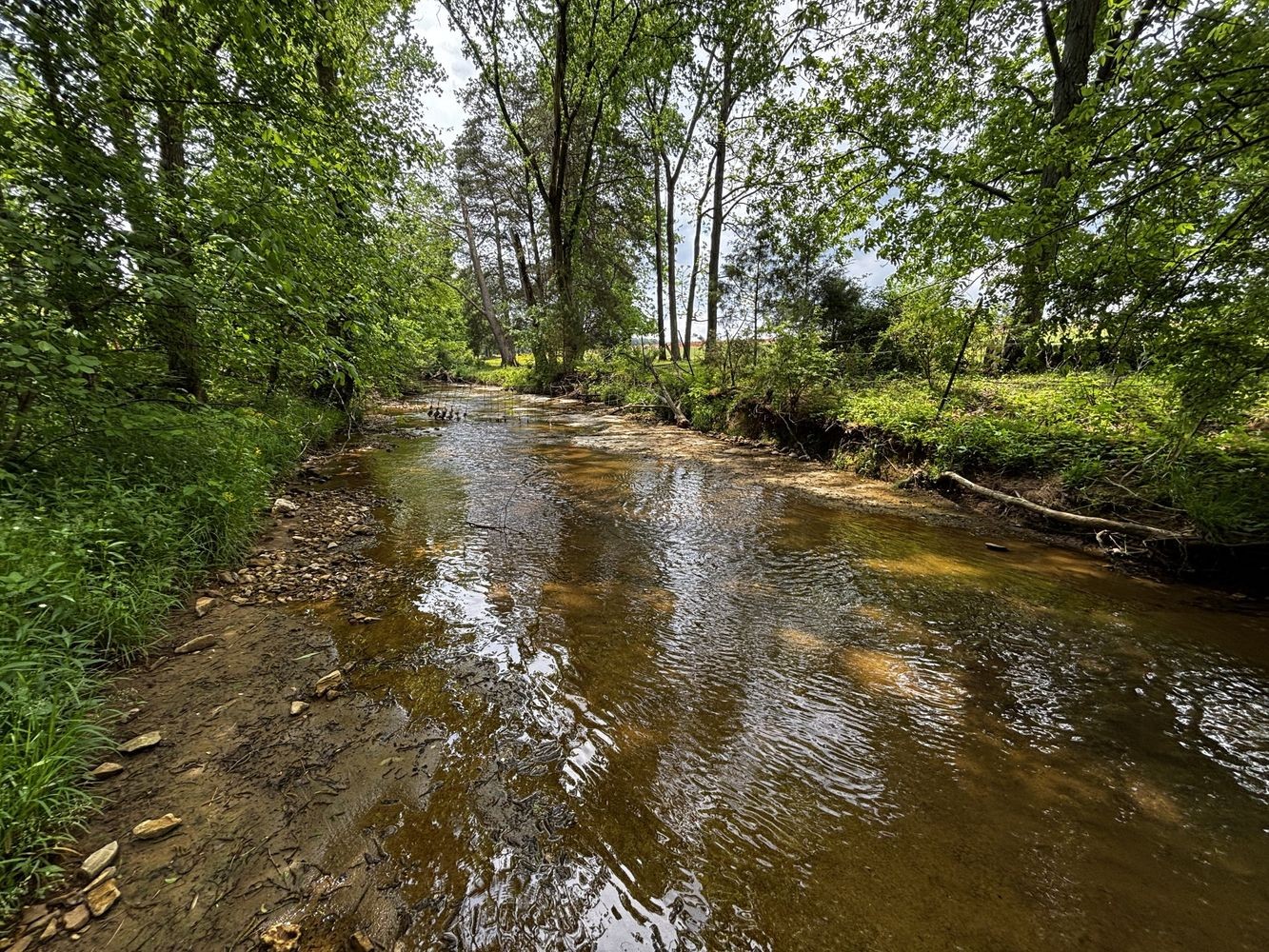 6538 Highway 431 Springfield, TN 37172 - Photo 40 of 63 a view of a lake view with houses