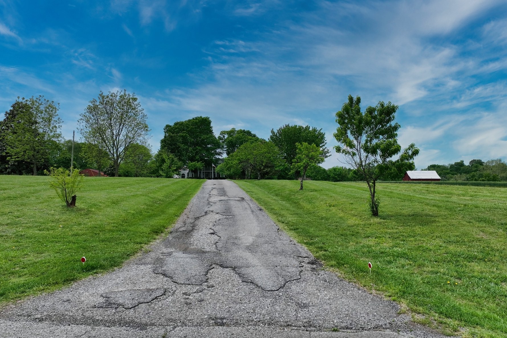 6538 Highway 431 Springfield, TN 37172 - Photo 41 of 63 a view of a park with a tree in the background