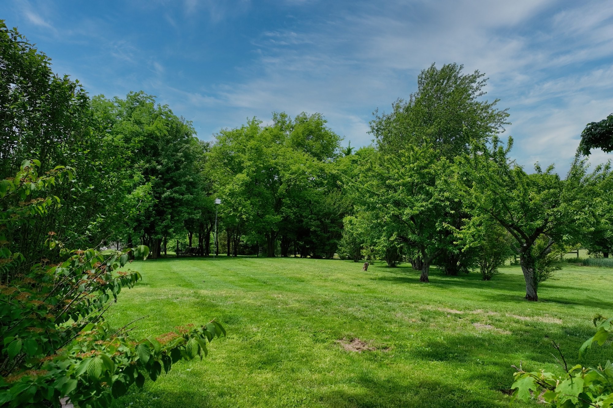 6538 Highway 431 Springfield, TN 37172 - Photo 43 of 63 a view of green field with trees in the background