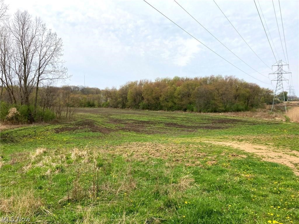 V/l Schocalog Road Akron, OH 44320 - Photo 3 of 7 Expansive acreage featuring open land with mature tree line bordering the property