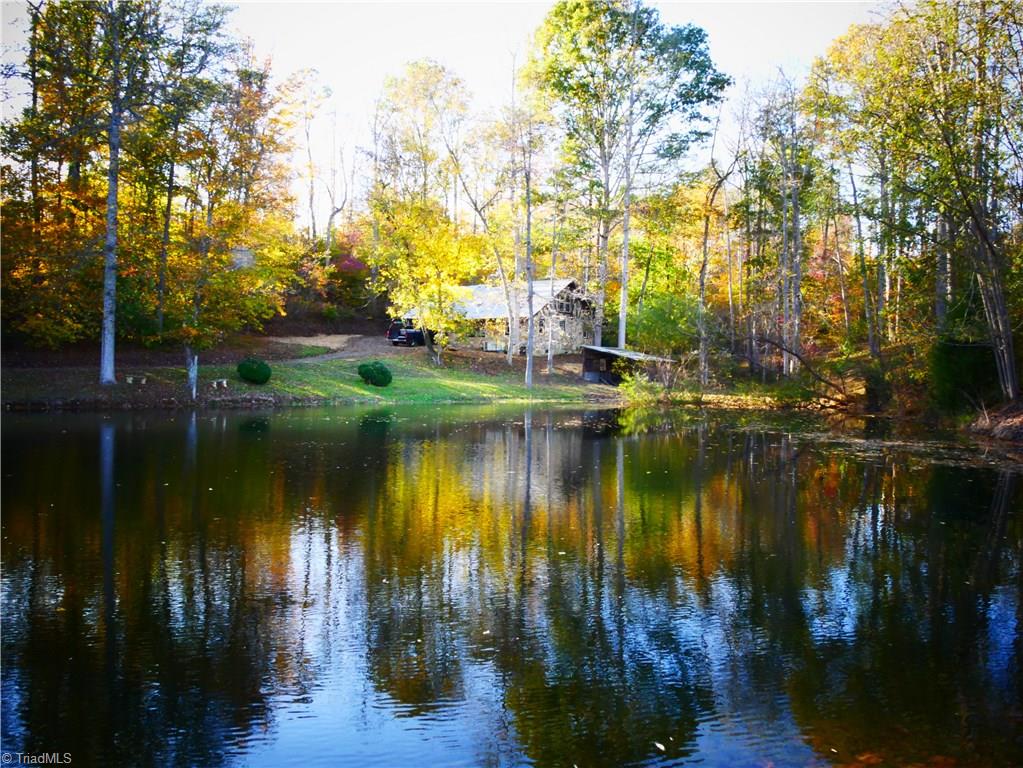 1676 Ray Loop Road Westfield, NC 27053 - Photo 1 of 25 Gallery Image 1