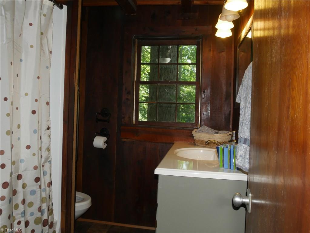 1676 Ray Loop Road Westfield, NC 27053 - Photo 13 of 25 Bathroom