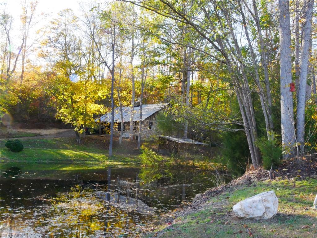 1676 Ray Loop Road Westfield, NC 27053 - Photo 20 of 25 From across the pond