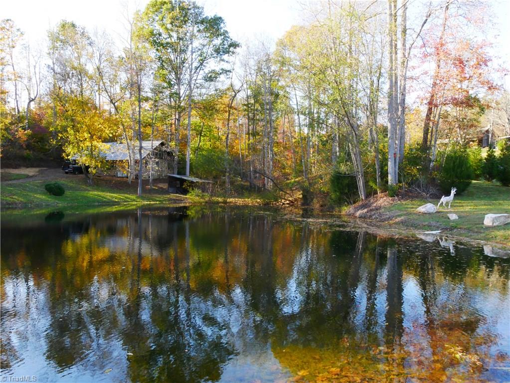 1676 Ray Loop Road Westfield, NC 27053 - Photo 22 of 25 Gallery Image 22