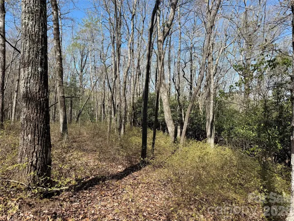 $139,000 | Tbd White Oak Terrace, Unit 910, Brevard, NC 28712