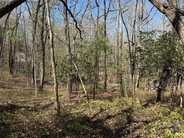 $139,000 | Tbd White Oak Terrace, Unit 910, Brevard, NC 28712