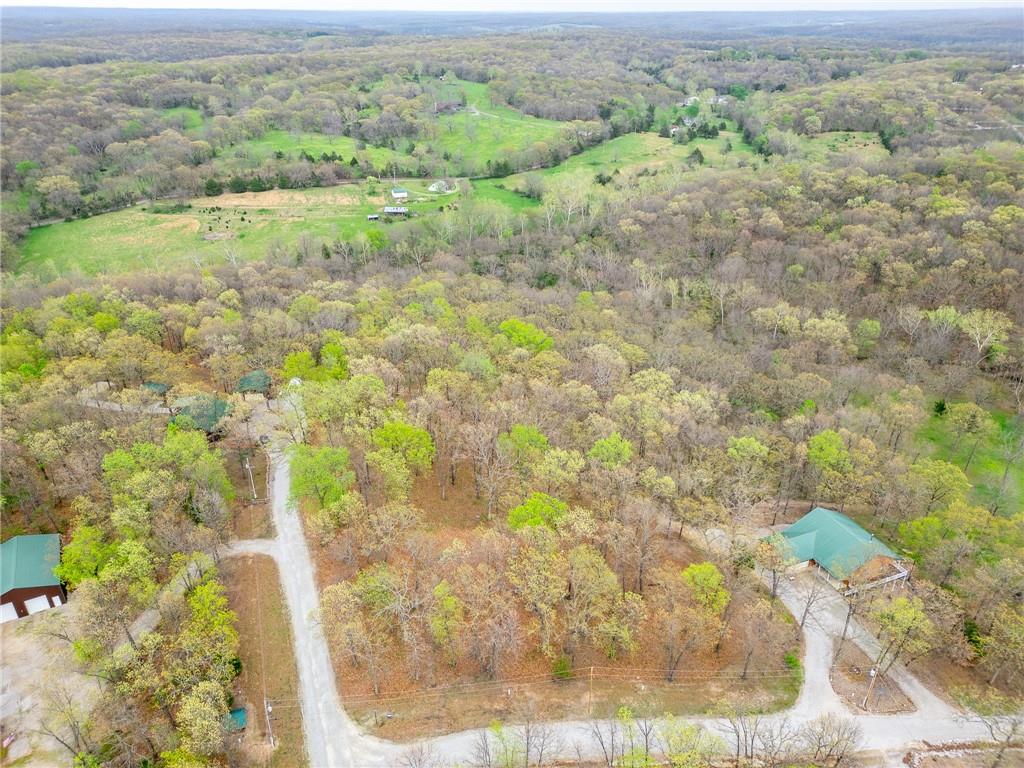 Tbd Hummingbird Lane Warsaw, MO 65355 - Photo 2 of 9