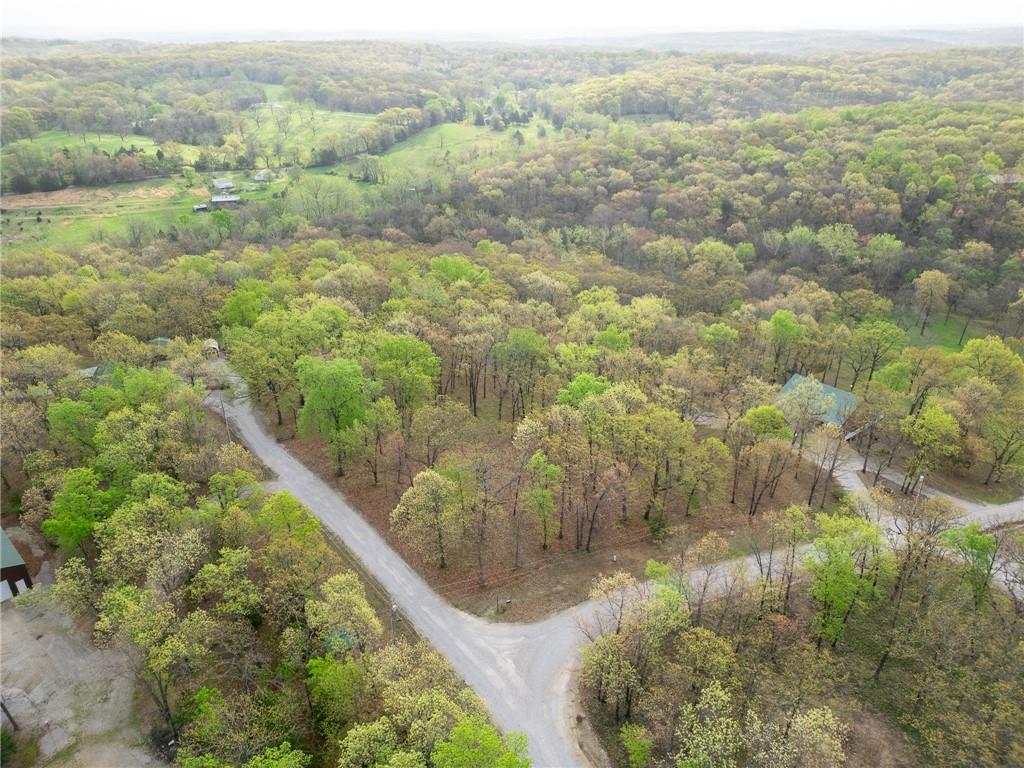 Tbd Hummingbird Lane Warsaw, MO 65355 - Photo 3 of 9