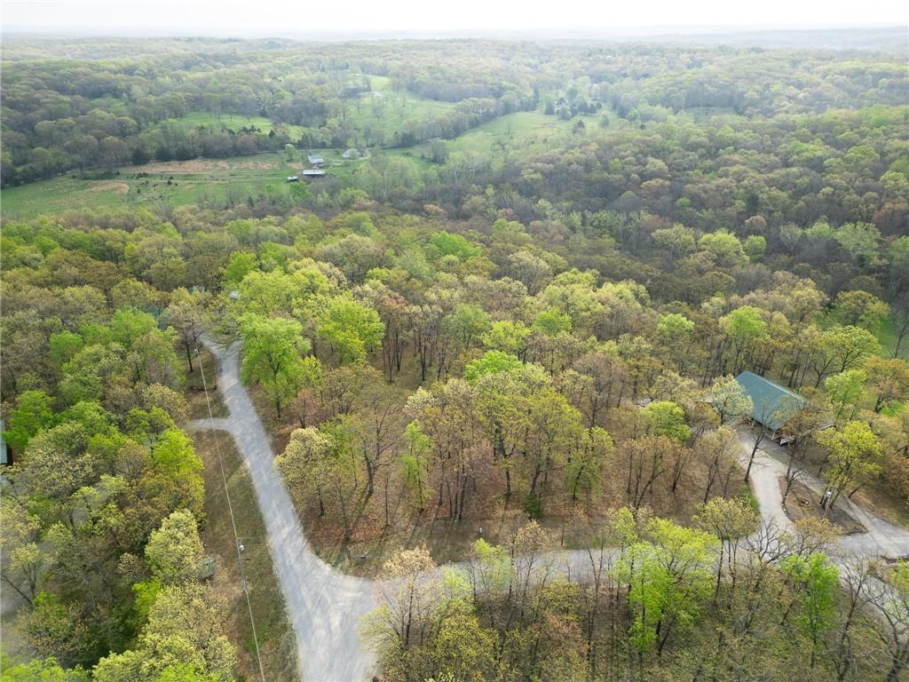 Tbd Hummingbird Lane Warsaw, MO 65355 - Photo 4 of 9