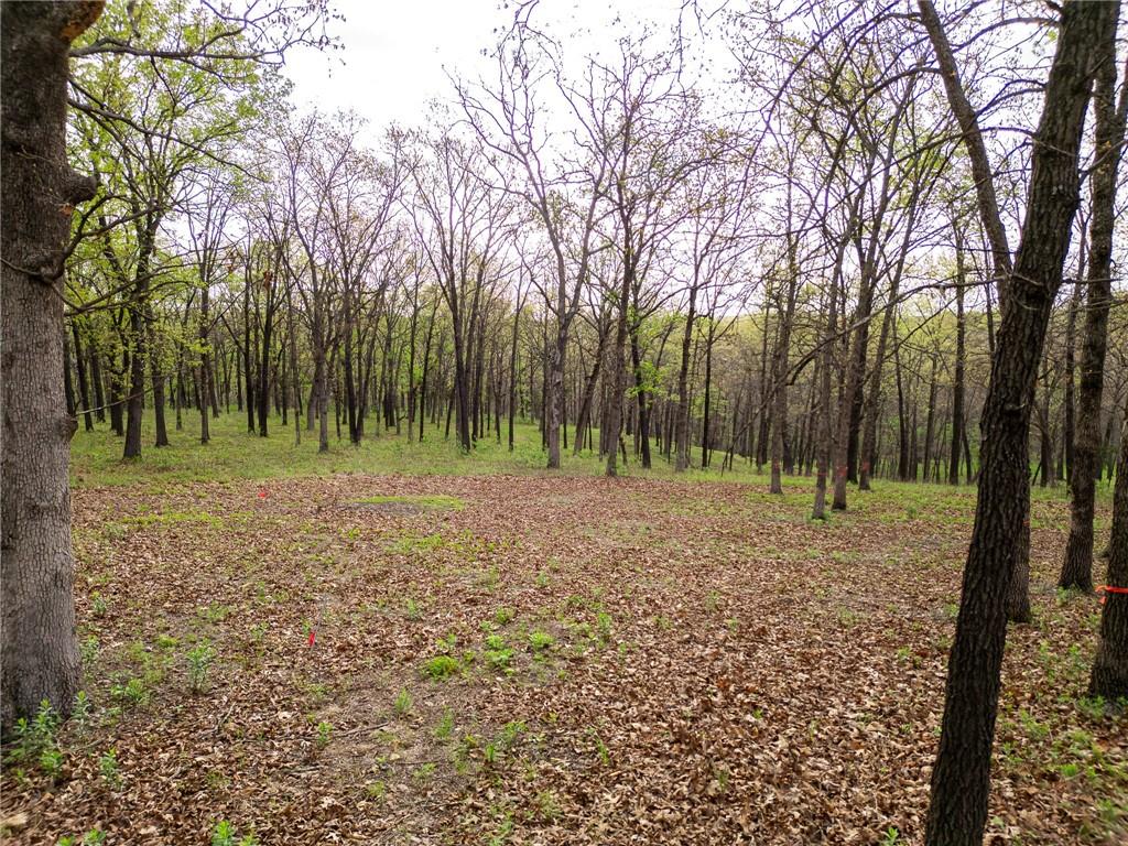 Tbd Hummingbird Lane Warsaw, MO 65355 - Photo 6 of 9