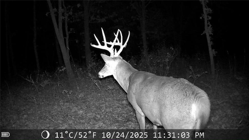 Tbd Hummingbird Lane Warsaw, MO 65355 - Photo 8 of 9