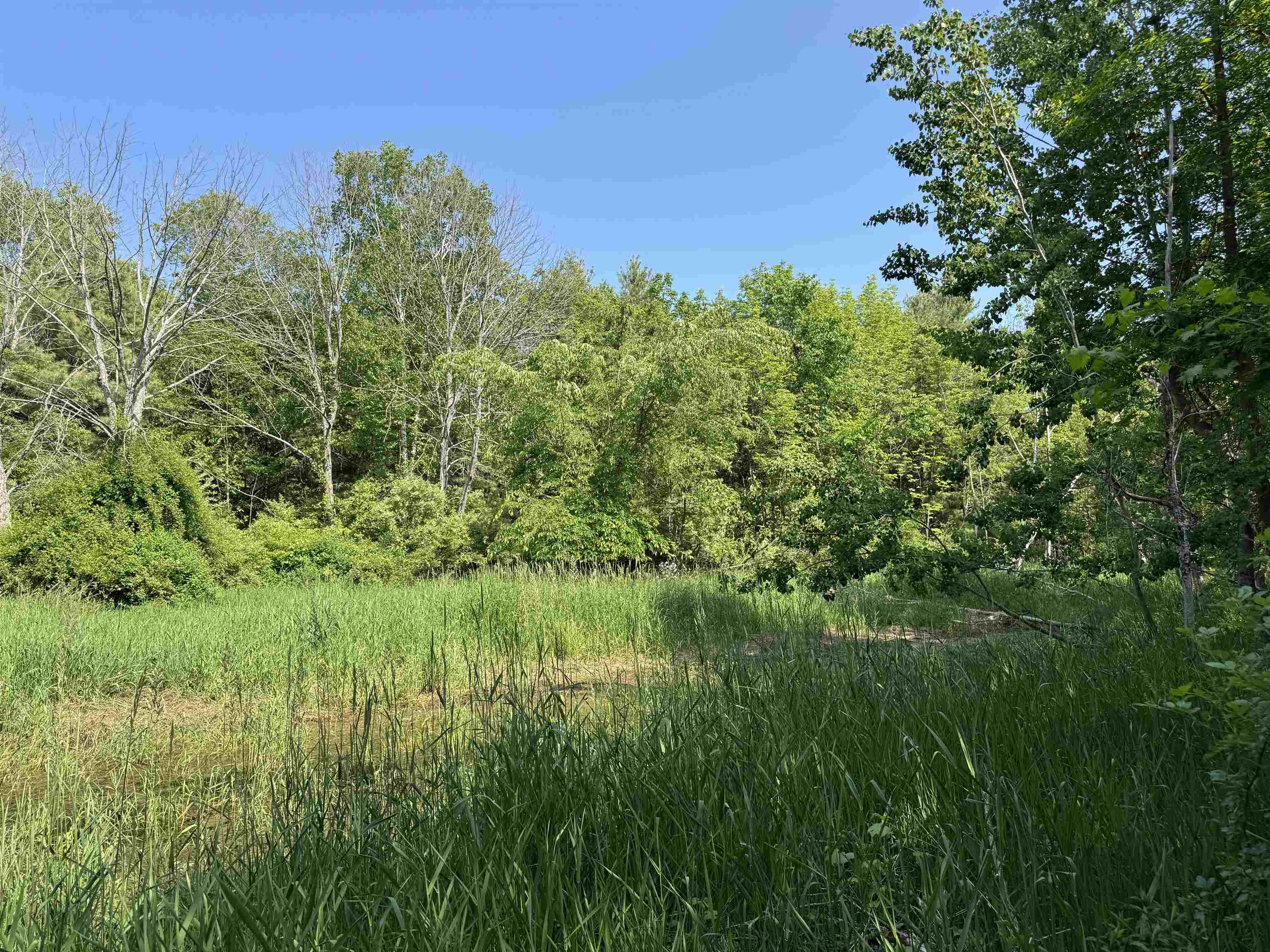 North Nelson Road Northport, MI 49670 - Photo 27 of 28 Gallery Image 27