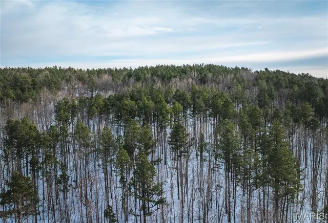 $189,900 | 0 Highway Nn Grandin Mo 63943, Doniphan, MO 63935