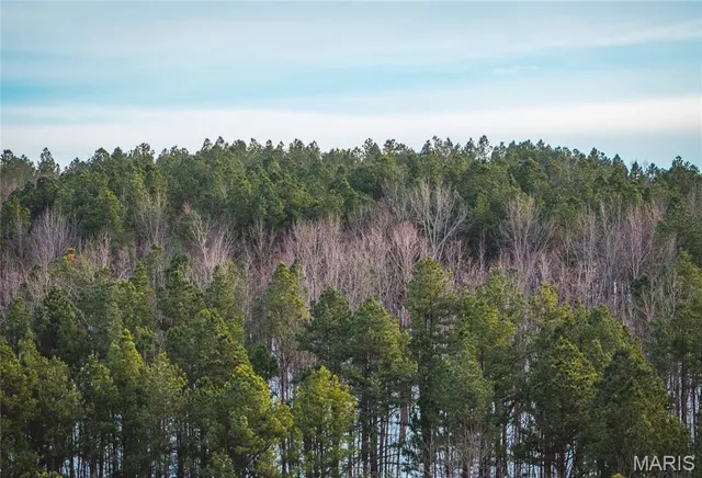 $189,900 | 0 Highway Nn Grandin Mo 63943, Doniphan, MO 63935