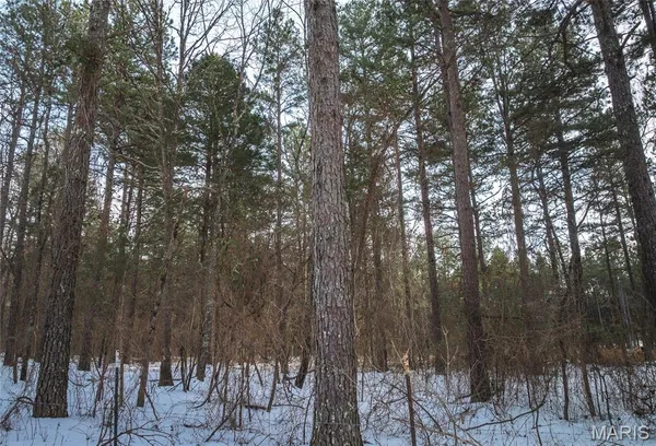 $189,900 | 0 Highway Nn Grandin Mo 63943, Doniphan, MO 63935