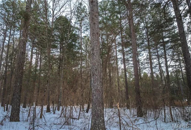 $189,900 | 0 Highway Nn Grandin Mo 63943, Doniphan, MO 63935