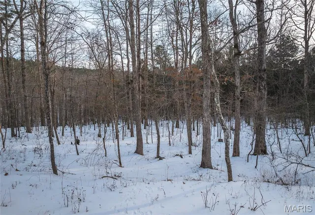 $189,900 | 0 Highway Nn Grandin Mo 63943, Doniphan, MO 63935