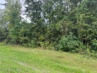 a view of a yard with a tree
